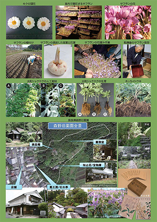 薬用植物研究 37巻1号（2015年1号）