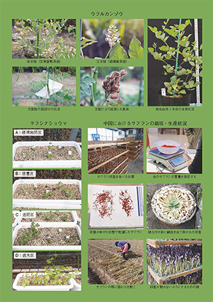 薬用植物研究 44巻1号（2022年1号）